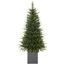 Vánoční stromek Smrk, 180 cm