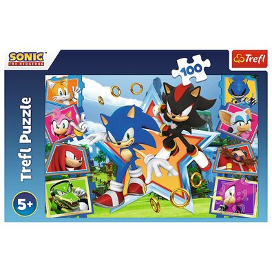 Trefl Puzzle Sonic Lernt den Igel kennen, 100 Teile