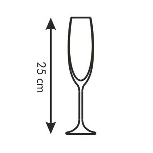 Tescoma 6 darabos pezsgőspohár szett SOMMELIER