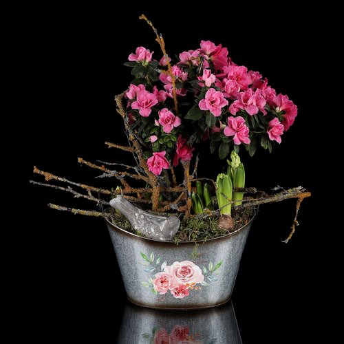 Komplet embalaže za cvetje Rose, 2 kos, 2velikosti, kov