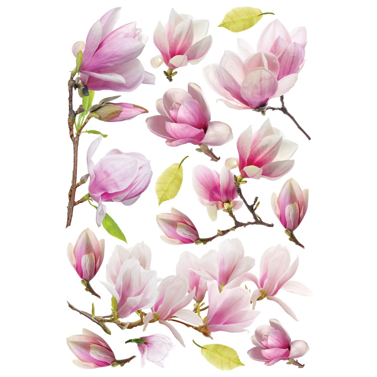 Samolepící dekorace Magnolia Flowers, 42,5 x 65 cm