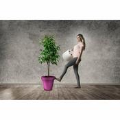 Gardenico Lonec za rože Metro Twist 'n' Roll bel,29 x 26,5 cm