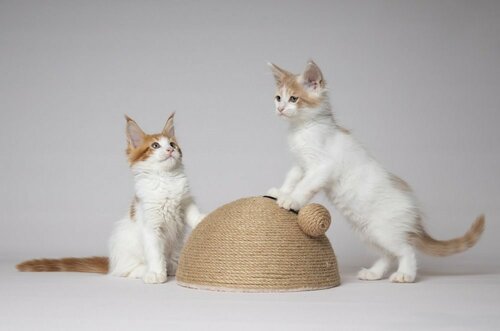 Flamingo Veda Scărpinător pentru pisici, 26 x 14 x 26 cm