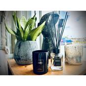 Sabaya Aroma difuzér Santalové drevo, 100 ml