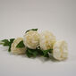 Művirág bazsarózsa fehér, 4 fejes készlet
