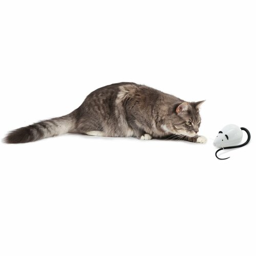 FroliCat® RoloRat avtomatski mačji dražljivec