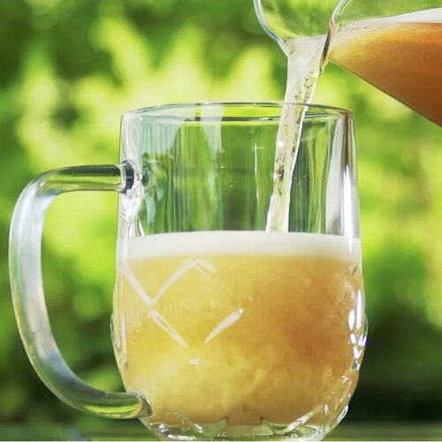 Tescoma Pahar de bere myBEER Lupulus, 0,5 l