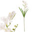 crem deschis