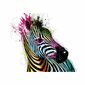 Designová fototapeta XXL Zebra, 364 x 252 cm