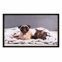 Cat and Dog lábtörlő, 40 x 60 cm
