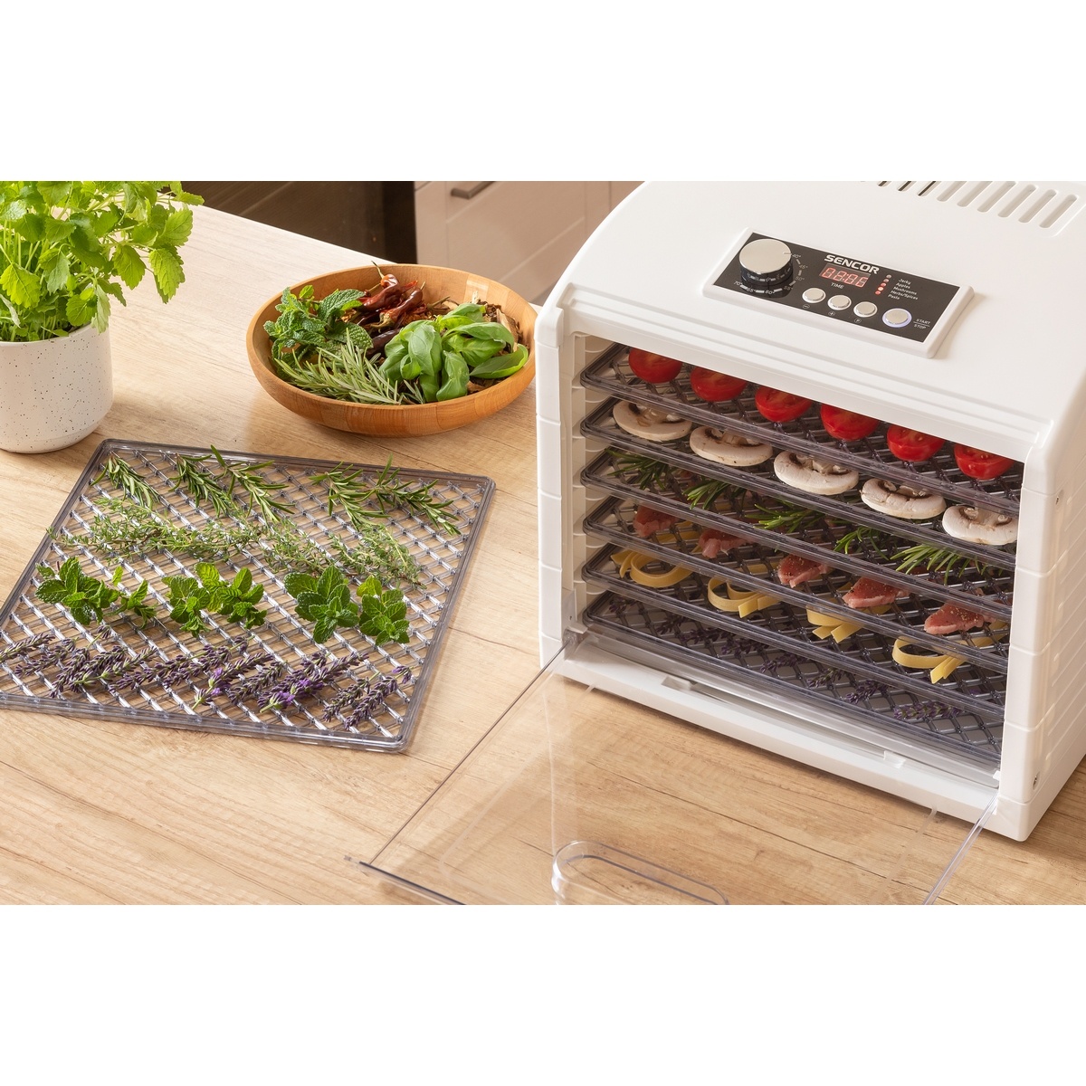 Sencor SFD 6500WH sušička ovoce - thumb (10)