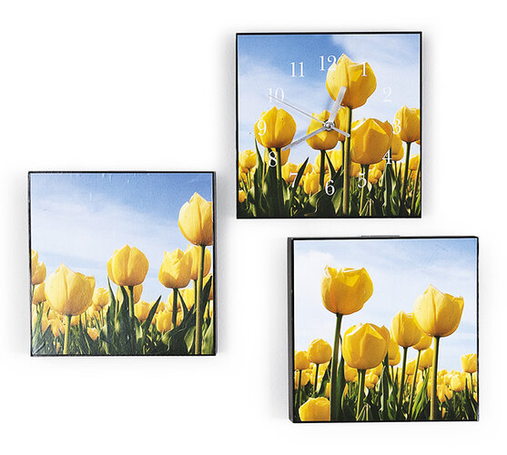 Vícedílný obraz, tulipány