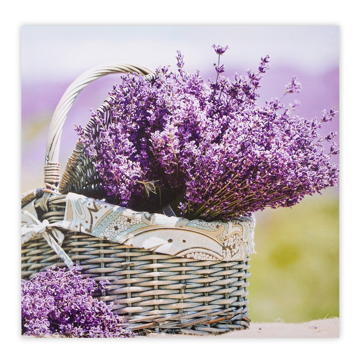Obraz na plátne Saintes Lavender 58 x 58 cm