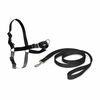 PetSafe Postroj EasyWalk čierny XL