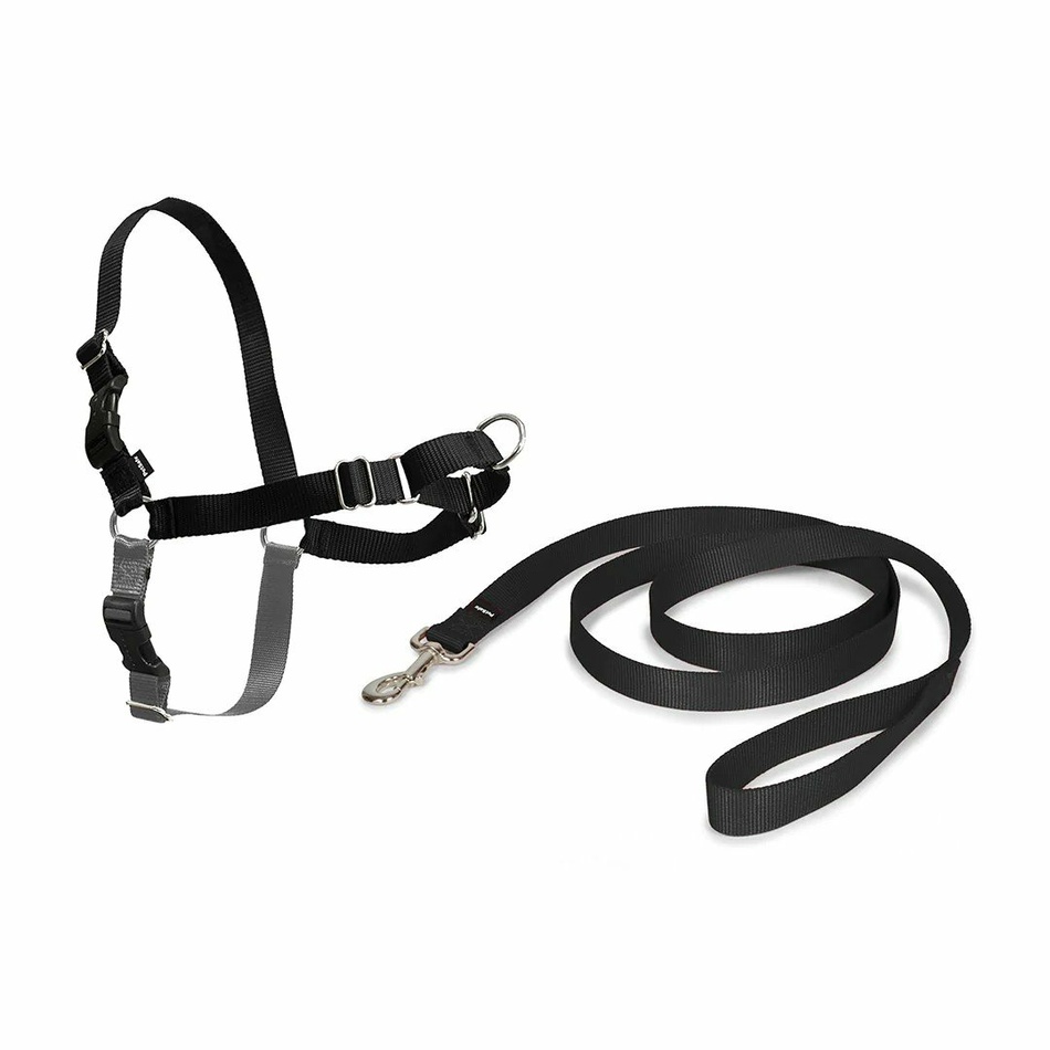 PetSafe Uprząż EasyWalk czarny XL