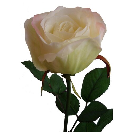 Umela ruža biela, 69 cm