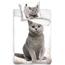 BedTex Bavlněné povlečení Kočka a koťátko, 140 x 200 cm, 70 x 90 cm
