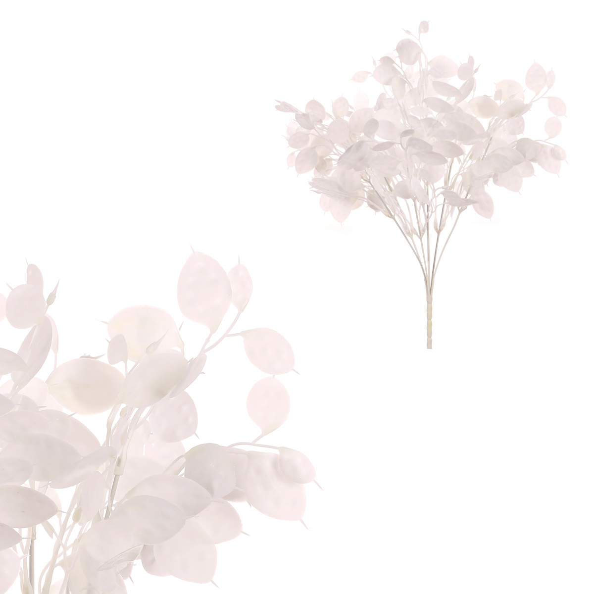 Súprava Trs s peniazkovými lístkami, 2 ks, biela, 39 cm