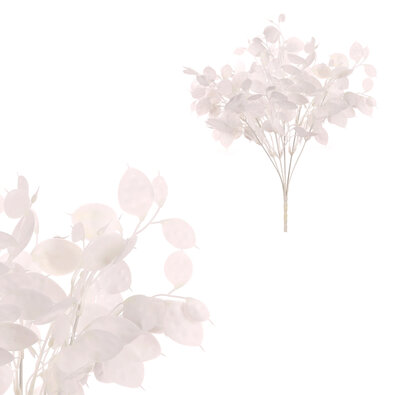 Súprava Trs s peniazkovými lístkami, 2 ks, biela, 39 cm