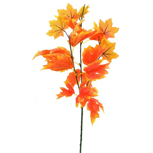 Jesenska veja javorja, 60 x 25 cm