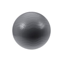 XQ Max Akcesorium do ćwiczenia Yoga Ball śr. 65 cm, srebrny