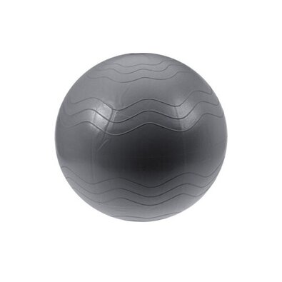 Instrument fitness XQ Max Yoga Ball diam. 65 cm, argintiu