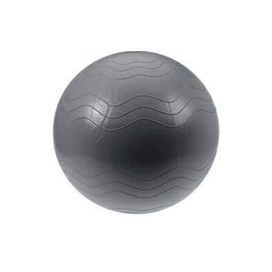 XQ Max žoga za vadbo Joga žoga premer 65 cm,srebrna