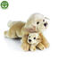 Rappa Plyšový ležiaci Labrador s bábätkom, 25 cm