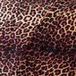 4Home povlečení mikroflanel Leopard, 140 x 200 cm, 70 x 90 cm