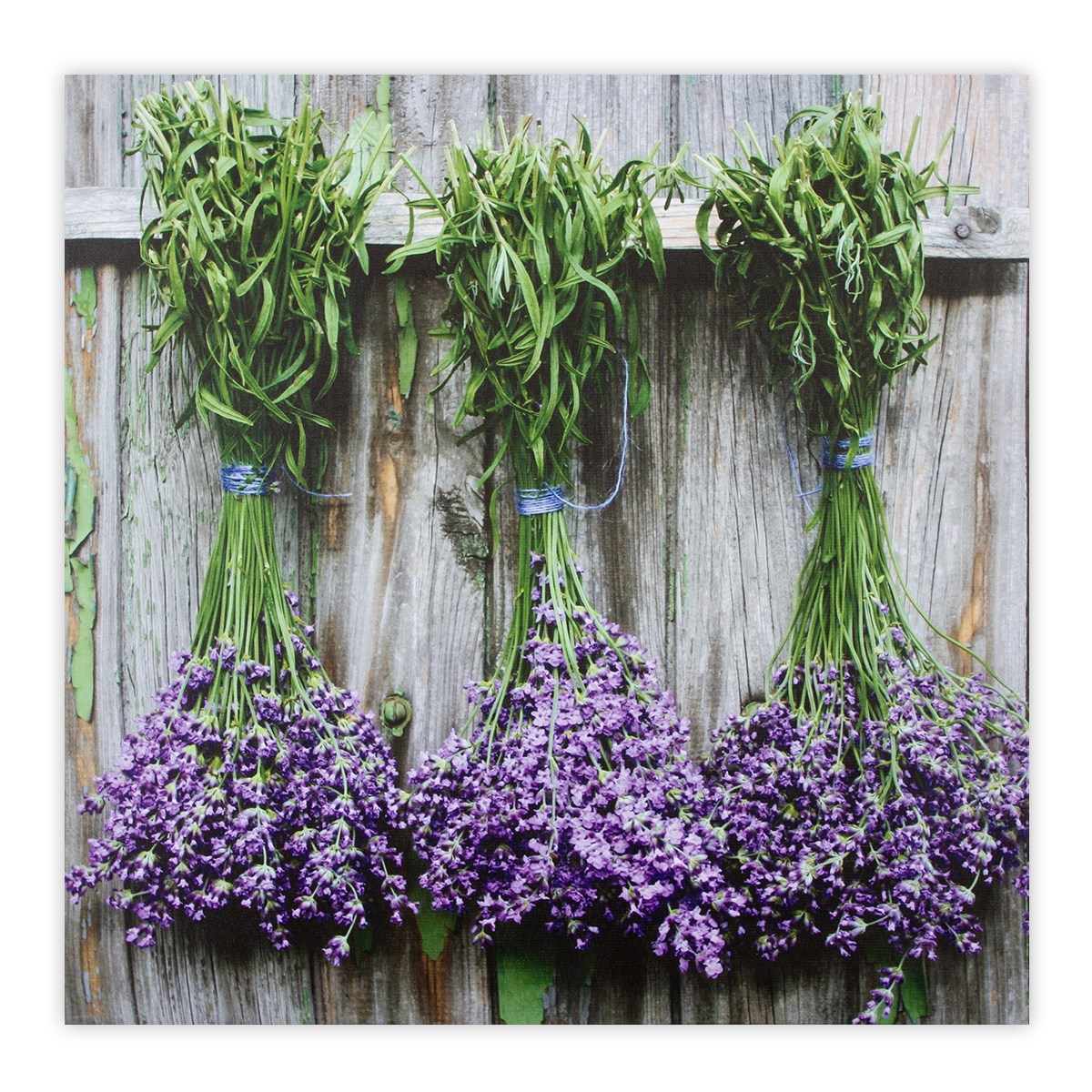 Obraz na plátne Gimont Lavender 58 x 58 cm