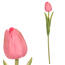Tulipă artificială din spumă mini PINK, 5 x 5 x 34cm