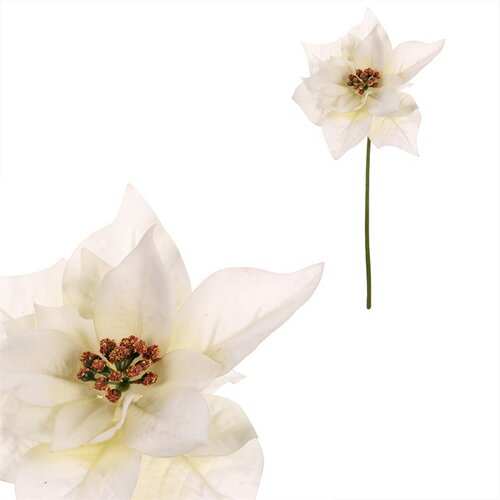 Set vianočná ruža kvet na stonke, 2 ks, krémová, 32 cm
