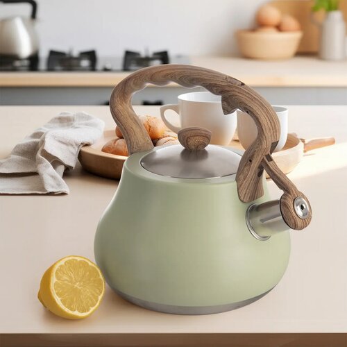 Orion Czajnik z gwizdkiem Greenish, 3 l
