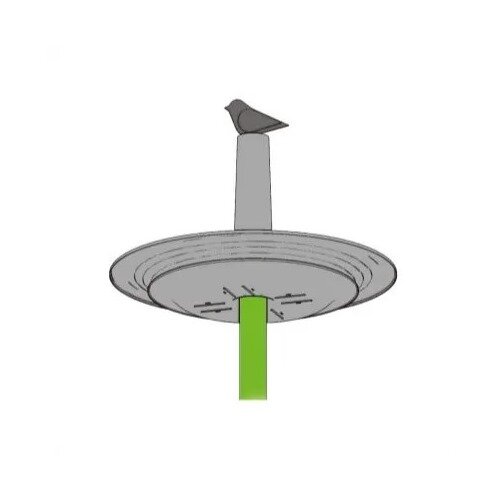 Plastia Zalivalka za ptice Finch, olivna