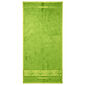 4Home Osuška Bamboo Premium zelená, 70 x 140 cm