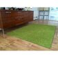 Kusový koberec Color shaggy zelená, 120 x 170 cm