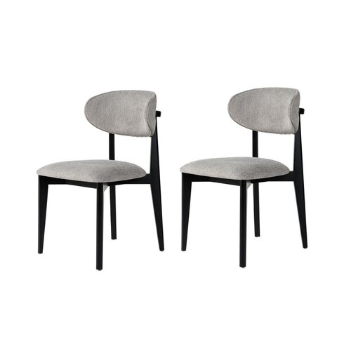 Sada jídelních židlí Lionte Grey and Black, 2 ks
