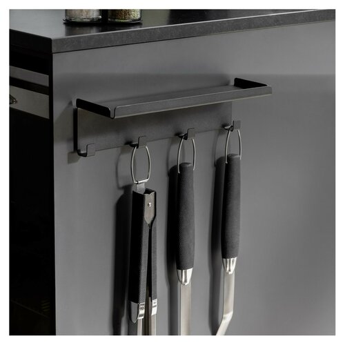 Wenko Magnetisches Wandregal für Gewürze mit 4 Häkchen Ima