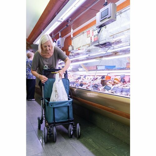 Carlett Senior Assist cadru pentru cumpărături curoți 38 l, albastru-verde