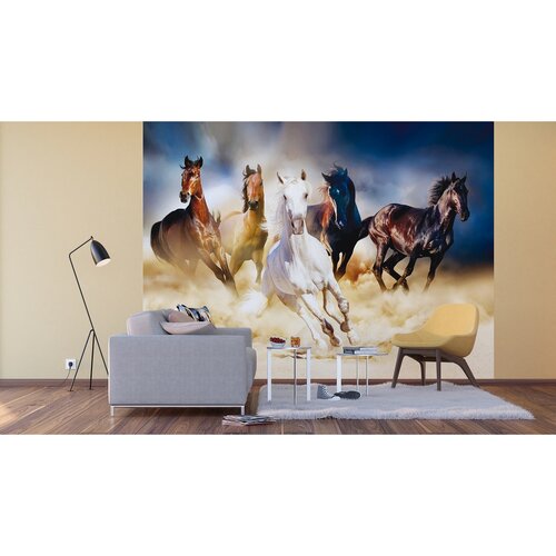 Fototapeta XXL Horses 360 x 270 cm, 4 díly