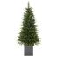 Lucfenyő karácsonyfa, 120 cm