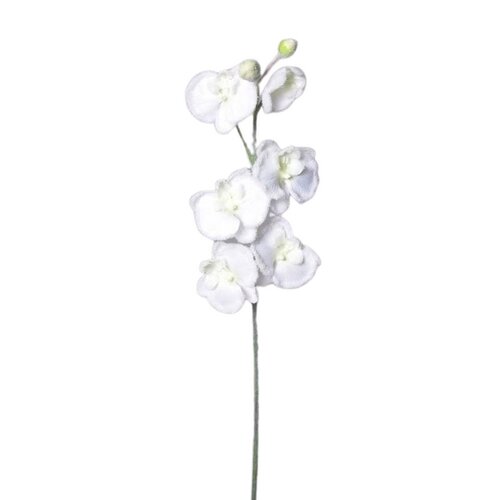 Umělá zasněžená Orchidej bílá, 81 cm
