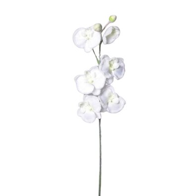 Umetna zasnežena bela orhideja, 81 cm