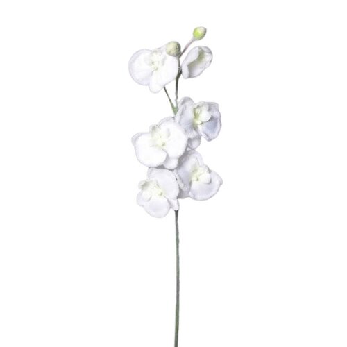 Umetna zasnežena bela orhideja, 81 cm