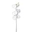 Umelá zasnežená Orchidea biela, 81 cm
