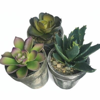 Plantă artificială în ghiveci Succulent, set de 3