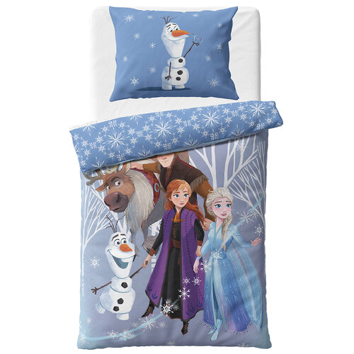 Дитяча постільна білизна «Крижане королівствоМорозне небо», 140 x 200 см, 70 x 90 см