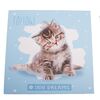 Leinwandbild Kittie, 28 x 28 cmblau  ,