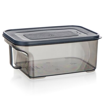 Banquet Cutie de depozitare cu mâner ZOYA 2,6 l,fumurie