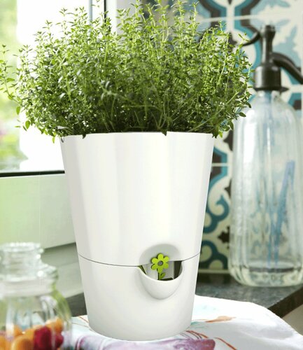 Emsa samozavlažovací kvetináč Fresh herbs biela